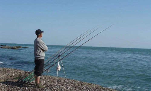 (探索频道钓鱼专家)探索钓鱼大咖官方网：钓鱼技巧分享与爱好者交流的理想平台