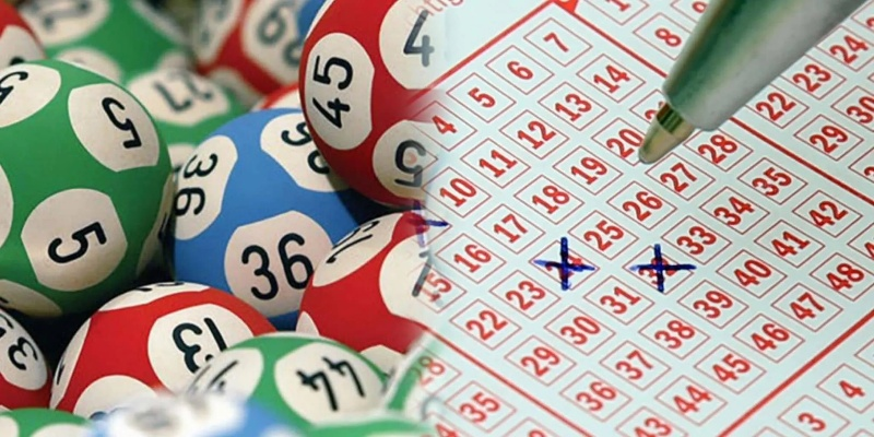 澳门特马开奖结果历史记录查询|月夜下的星辰与梦想_配合型.6.761