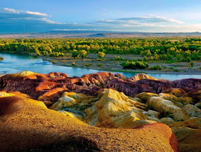 最精准的正版资料澳门|自然之美与心灵之旅_公开款.4.711