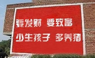 养猪致富新农村免广告国际版下载新版安装包-养猪致富新农村免广告下载中文版v.0.99